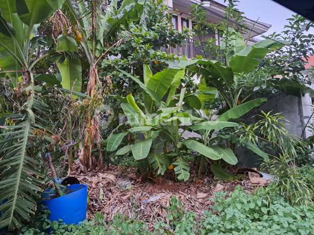 Tanah Kavling Hadap Timur Harga Nego di Kavling Kowilhan, Jakartatimur Tanah Kavling Hadap Timur Harga Nego di Kavling Kowilhan, Jakartatimur