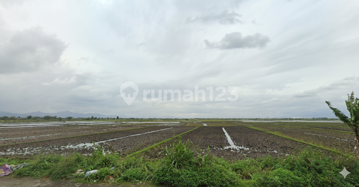Tanah 60000m2 SHM di Jalan Utama Majalaya Rancaekek, Bandung Tanah 60000m2 SHM di Jalan Utama Majalaya Rancaekek, Bandung