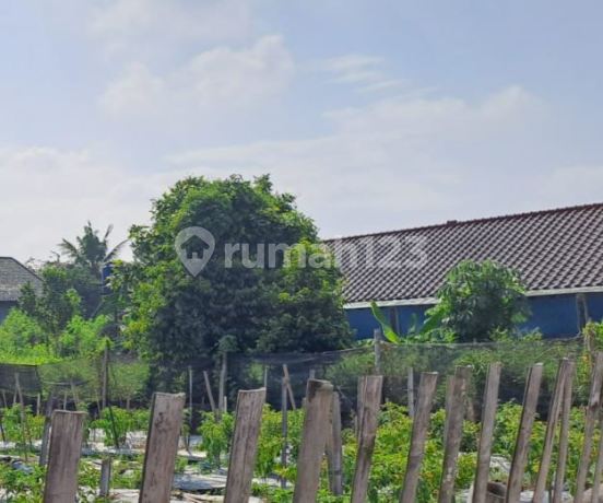 Land in Goodyear Complex, Ciomas, Bogor City