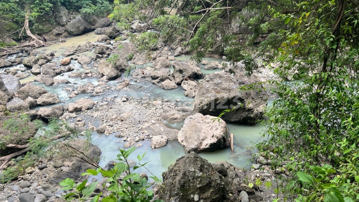 Tanah Zona Kuning Los Sungai Jungle