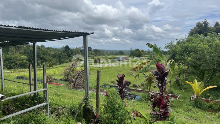 Tanah Luasan Kecil View Sawah ,Gunung dan Laut