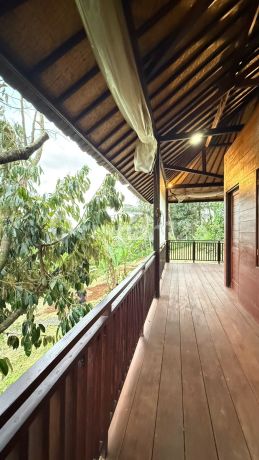 Kebun Durian Sudah Ada Bangunan Rumah Kayu di Tabanan Bali