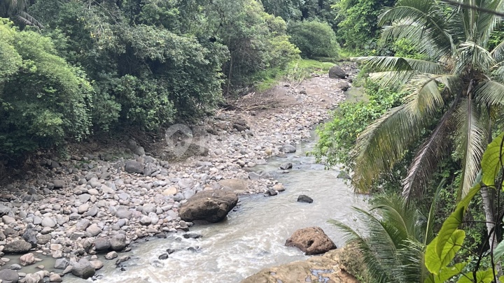 Land View Jungle And River Cheap In Tabanan Bali