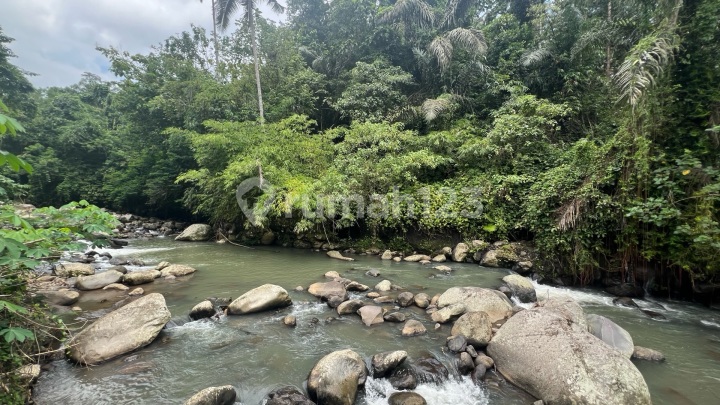 Tanah View Cantik Los Sungai di Tabanan Bali Cocok untuk Villa Tanah View Cantik Los Sungai di Tabanan Bali Cocok untuk Villa