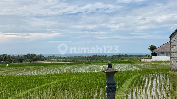 Tanah Zona Pariwisata Dekat Pantai View Sawah ,Gunung dan Laut
