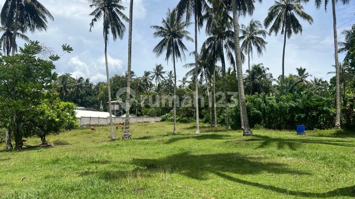 Tanah Murah di Kawasan Industri Sedang Berkembang Tanah Murah di Kawasan Industri Sedang Berkembang