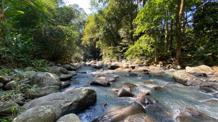 Tanah Los Sungai Jungle Cocok untuk Villa di Tabanan Bali Tanah Los Sungai Jungle Cocok untuk Villa di Tabanan Bali