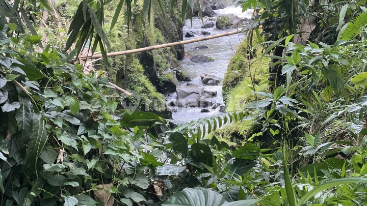 Land Near Tabanan City, Jungle View, River.