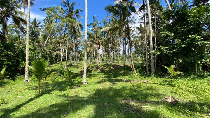 Tanah Zona Kuning Dekat Pantai Cocok untuk Kavlingan atau Villa Komersil