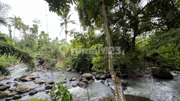 Tanah Luasan Kecil dengan View Jungle Los Sungai Cantik di Tabanan Bali