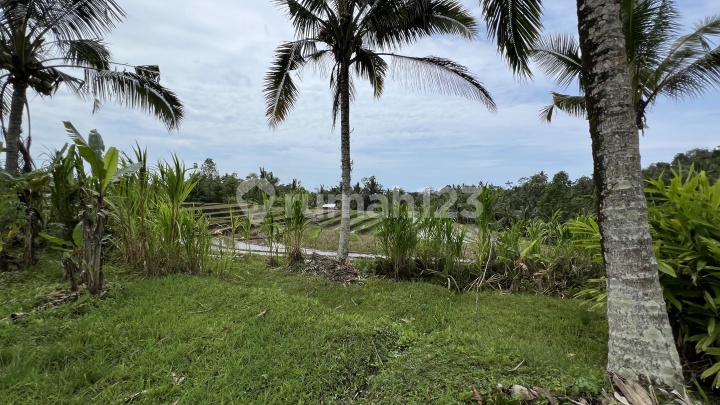 Tanah dengan View Sawah Gunung dan Sungai Cocok untuk Villa di Tabanan Bali Tanah dengan View Sawah Gunung dan Sungai Cocok untuk Villa di Tabanan Bali