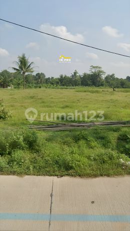 Termurah Tanah Di Cikeusal Serang Siap Bangun Termurah Tanah Di Cikeusal Serang Siap Bangun