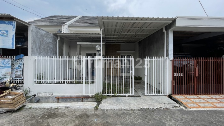 Dijual Murah Rumah Di Tambak Cemandi Sidoarjo Dijual Murah Rumah Di Tambak Cemandi Sidoarjo