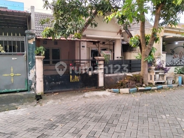 Under Market Rumah 1 Lantai di Villa Jasmine Sidoarjo Dekat Akses Tol dan Sekolah Under Market Rumah 1 Lantai di Villa Jasmine Sidoarjo Dekat Akses Tol dan Sekolah