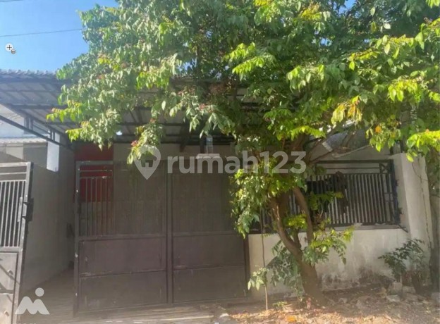 Murah Di Bawah Harga Pasaran Puri Gunung Anyar Regency Surabaya Murah Di Bawah Harga Pasaran Puri Gunung Anyar Regency Surabaya