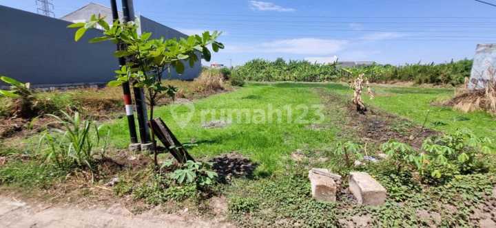 Dijual Tanah Kavling Di Wage Taman Sidoarjo Tanah di Jl. Jeruk III No.3, Wage, Taman, Sidoarjo, Jawa Timur, Indonesia, 61257, Taman SHM Dijual Tanah Kavling Di Wage Taman Sidoarjo Tanah di Jl. Jeruk III No.3, Wage, Taman, Sidoarjo, Jawa Timur, Indonesia, 61257, Taman SHM