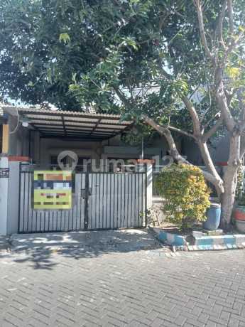 Sijual Rumah Di Perumahan Tropodo Asri Waru Sidoarjo Rumah Butuh Minim Renovasi SHM di Tropodo Asri Residence Block D No. 21, Tropodo, Waru, Sidoarjo, Jawa Timur, Indonesia, 61256, Waru Sijual Rumah Di Perumahan Tropodo Asri Waru Sidoarjo Rumah Butuh Minim Renovasi SHM di Tropodo Asri Residence Block D No. 21, Tropodo, Waru, Sidoarjo, Jawa Timur, Indonesia, 61256, Waru