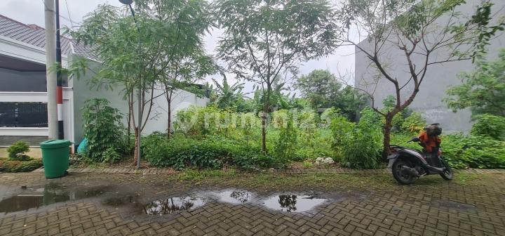Dijual Tanah Dalam Cluster Di Perumahan Grand Royal Regency Wage Taman Sidoarjo Tanah di Cluster Bougenville, Grand Royal Regency, Wage, Taman, Sidoarjo, Jawa Timur, Indonesia, 61257, Sidoarjo SHM 171.0 Dijual Tanah Dalam Cluster Di Perumahan Grand Royal Regency Wage Taman Sidoarjo Tanah di Cluster Bougenville, Grand Royal Regency, Wage, Taman, Sidoarjo, Jawa Timur, Indonesia, 61257, Sidoarjo SHM 171.0