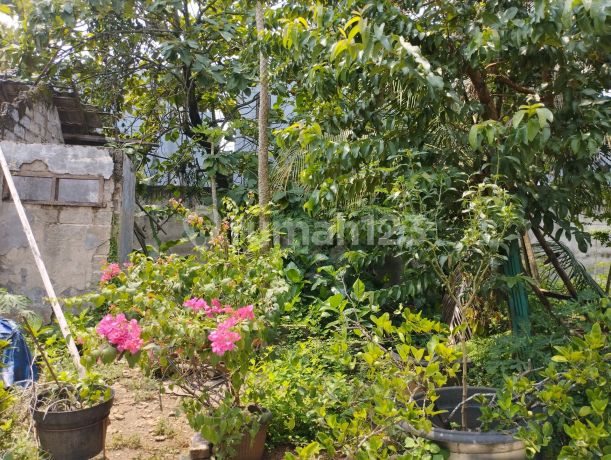 Dijual Tanah Kavling Di Puspitek Pagedangan Bsd City Dijual Tanah Kavling Di Puspitek Pagedangan Bsd City