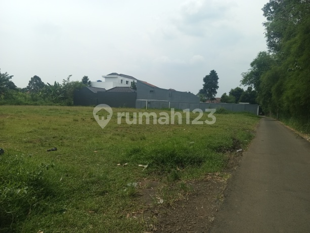 Tanah Datar Belakang Pajajaran Bogor Murah SHM AJB I Am The Only One Entrusted With This Responsibility.