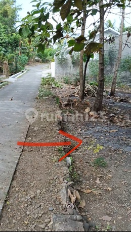 Kavling Sedayu Bagus