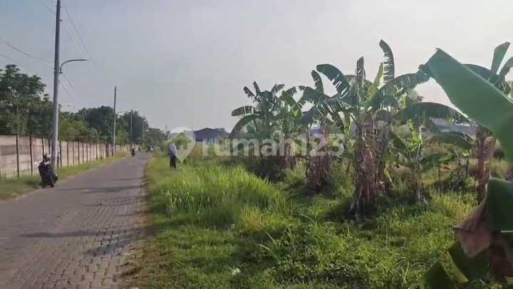 Tanah Dijual SHM Hak Milik Dpn Perum Sang Prabu Sblh Tamansari Majapahit Pedurungan Smg Timur