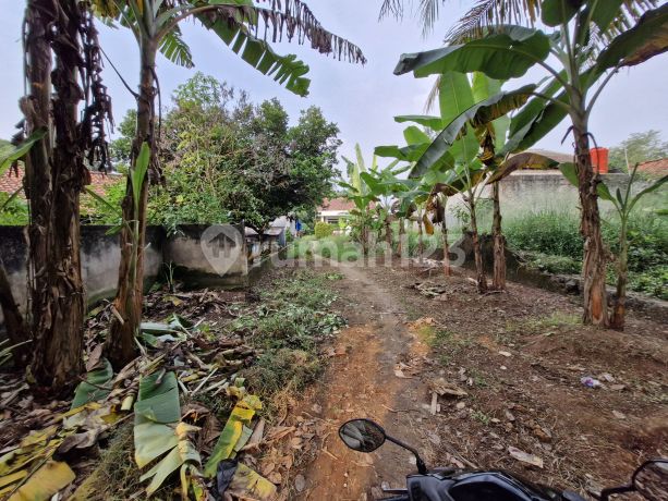 Tanah Murah! Gunung Sindur SHM 1,25M Nego Tanah Murah! Gunung Sindur SHM 1,25M Nego