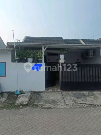 Dijual Rumah Prum Mbs Dekat Lingkar Timur Dekat Polsek Candi Sidoarjo Dijual Rumah Prum Mbs Dekat Lingkar Timur Dekat Polsek Candi Sidoarjo