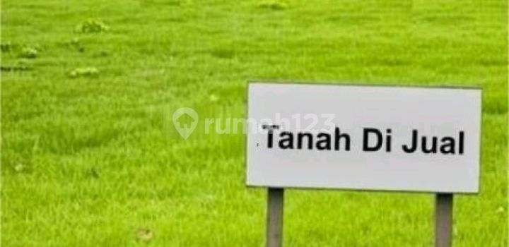 Rumah Bebas Desain Di Area Golf View Graha Family Surabaya Barat