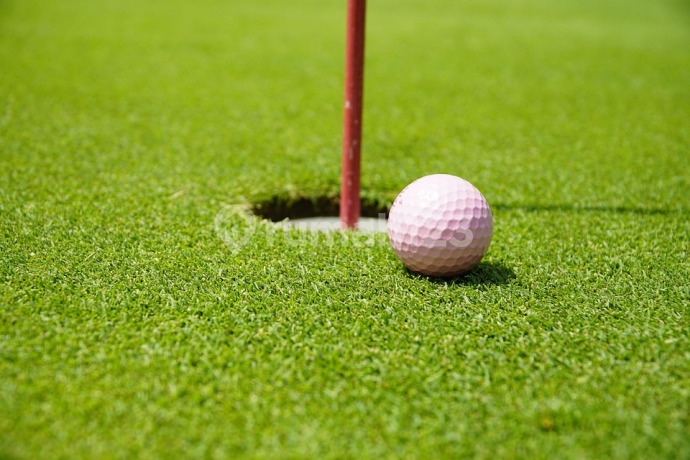 Rumah Bebas Desain Golf View Bukit Darmo Golf Dkt Graha Family