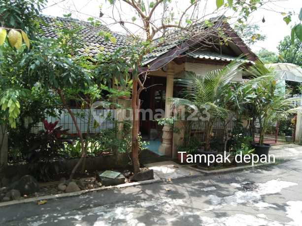 Rumah Strategis Selangkah Menuju Stasiun Bojong Gede Rumah Strategis Selangkah Menuju Stasiun Bojong Gede