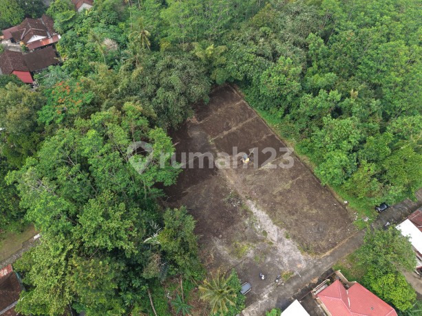 Tanah Adem di Pemda Sleman, Cocok Buat Rumah Siap AJB
