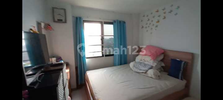 Apartment Palm Mansion (2 BR) - Hoek