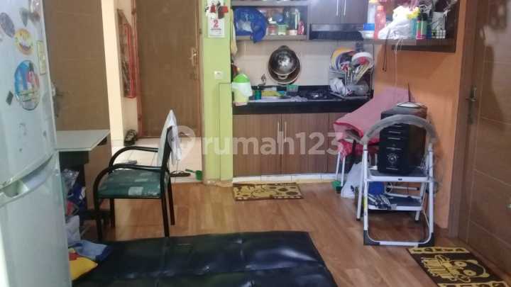 Apartment Palm Mansion (2 BR)