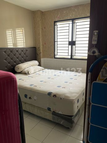 Apartment Palm Mansion (2 BR)