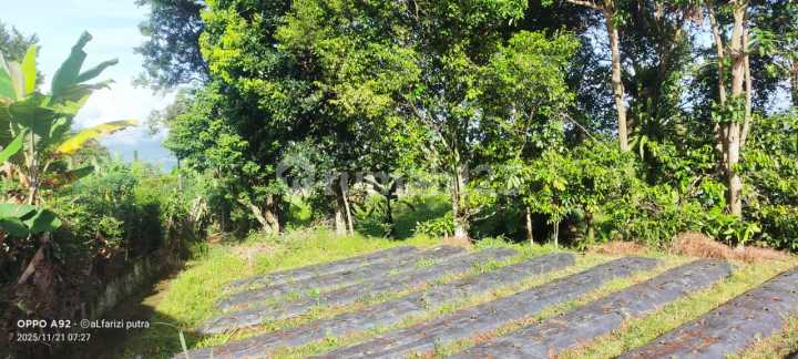 Tanah Di Caringin Dengan View Gunung Gede Pangrango Tanah Di Caringin Dengan View Gunung Gede Pangrango