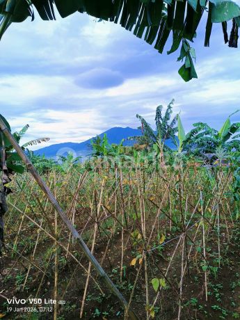 Strategic Land with Views of Mount Salak and Mount Gede