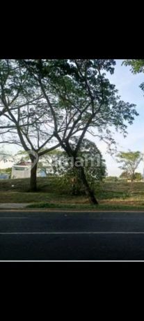 Tanah Kavling Bukit Golf Internasional Citraland