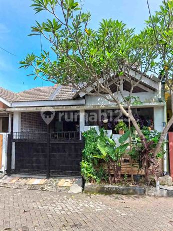 Di Jual Cepat Rumah Bebas Banjir di Pamulang Estate Tangerang Selatan Di Jual Cepat Rumah Bebas Banjir di Pamulang Estate Tangerang Selatan