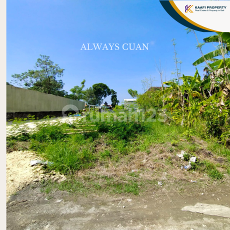 Tanah Premium Siap Bangun Area Canggu Bali Tanah Premium Siap Bangun Area Canggu Bali
