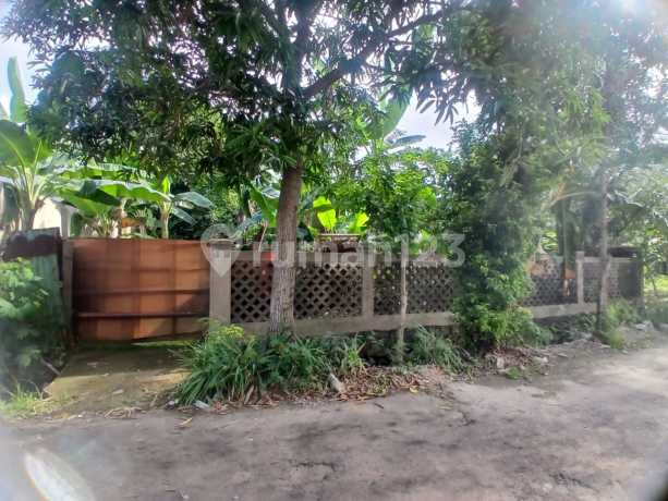 Dijual Tanah Di Ciputat Dekat Kampus Uin Ciputat Lokasi Dalam Komplek Perumahan Dijual Tanah Di Ciputat Dekat Kampus Uin Ciputat Lokasi Dalam Komplek Perumahan