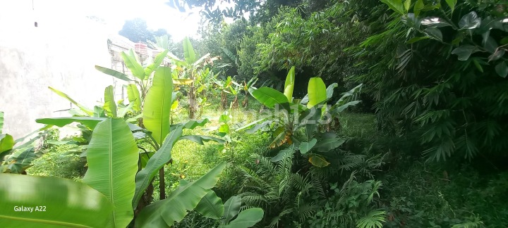 Tanah Dijual. Nempel ke Gdc (Grand Depok City). Cocok Utk Rumah Tinggal atau Cluster Kecil/Rumah Kontrakan Tanah SHM