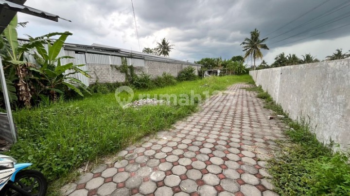 Vacant Land Plot Behind Bale Hinggil, Jalan Kaliurang, Ngaglik