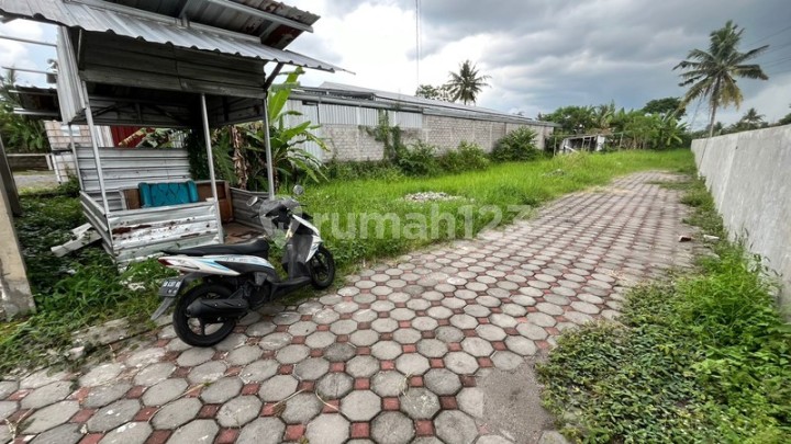 111m2 Plot of Land Behind Bale Hinggil, Kaliurang Street