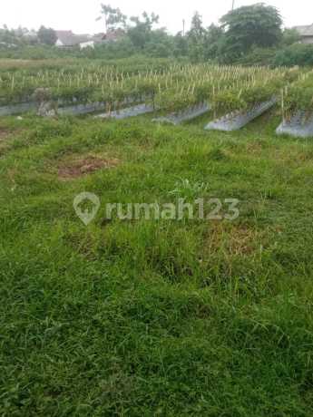 Jual Murah Tanah di Bekasi Kamp Pisangan Tambun Utara. Bekasi Depan Perumhan Dharmawangsa Residence. Luas:1700 Meter. 1400 Tanah Kosong 300Mtr Un Jual Murah Tanah di Bekasi Kamp Pisangan Tambun Utara. Bekasi Depan Perumhan Dharmawangsa Residence. Luas:1700 Meter. 1400 Tanah Kosong 300Mtr Un