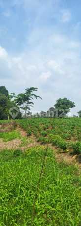 Tanah SHM Lokasi Strategis di Telaga Kahuripan, Kemang, Bogor Tanah SHM Lokasi Strategis di Telaga Kahuripan, Kemang, Bogor