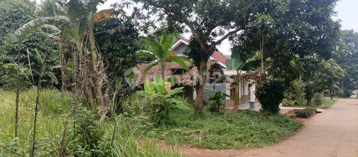 Jual Kavling SHM 160M Uk8x16m di Cibening Setu Kab Bekasi Bebas Banjir Jual Kavling SHM 160M Uk8x16m di Cibening Setu Kab Bekasi Bebas Banjir