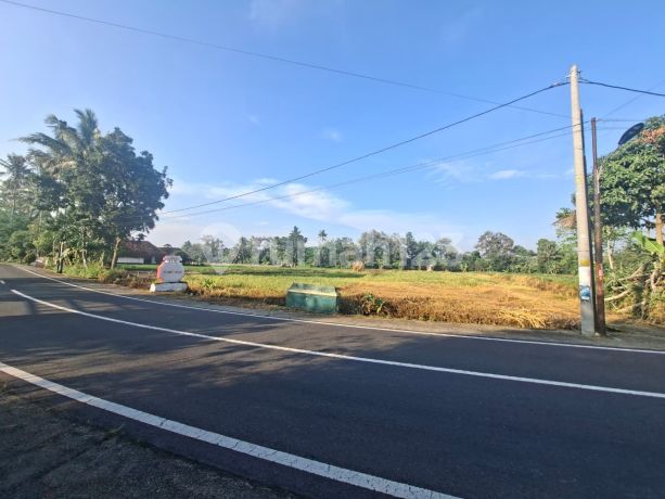 Tanah Jogja Tepi Jalan Raya Area Kampus Uii dan Kopi Klothok, SHM Pekarangan