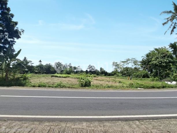 Tanah Jogja Murah Dekat Kopi Klothok dan Kampus Uii Jogja Legalitas SHM Pekarangan Tanah Jogja Murah Dekat Kopi Klothok dan Kampus Uii Jogja Legalitas SHM Pekarangan