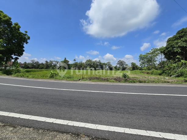 Tanah Dijual Dekat Kampus Uii Jogja, Akses Jalan Lebar dan Legalitas SHM Pekarangan Tanah Dijual Dekat Kampus Uii Jogja, Akses Jalan Lebar dan Legalitas SHM Pekarangan